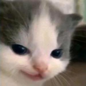 winker